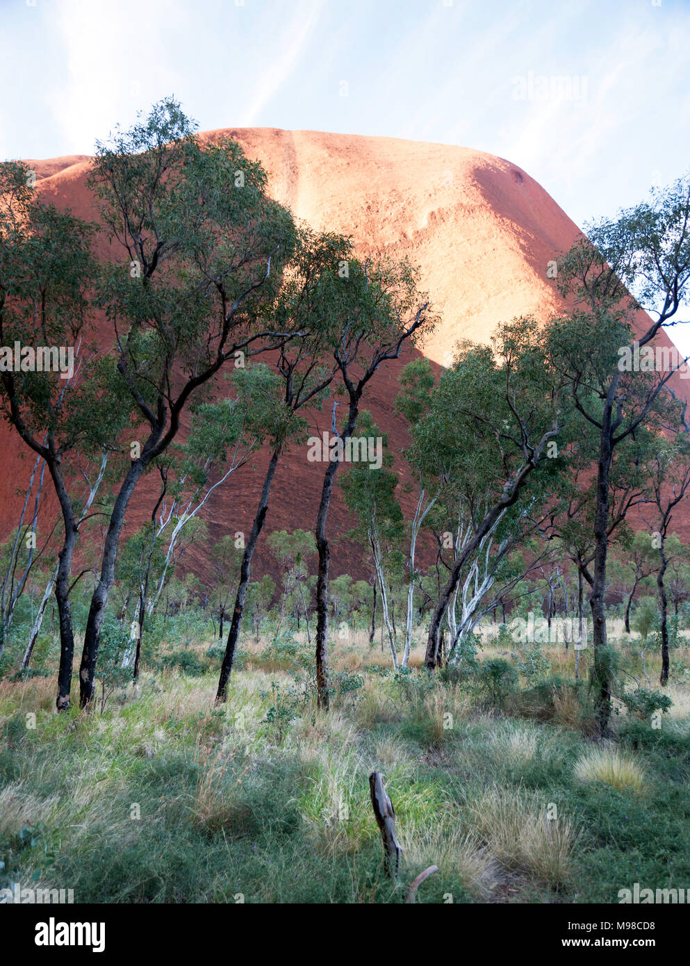 Cluse der Kata Tjuta in der Uluru - Kata Tjuta National Park, Northern Territory, Australien Stockfoto