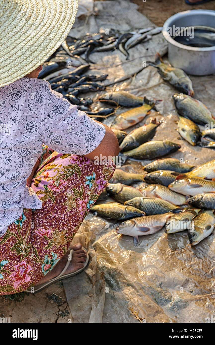 Frau verkaufen Fische auf dem Markt von Nampan, Shan Region, Myanmar Stockfoto
