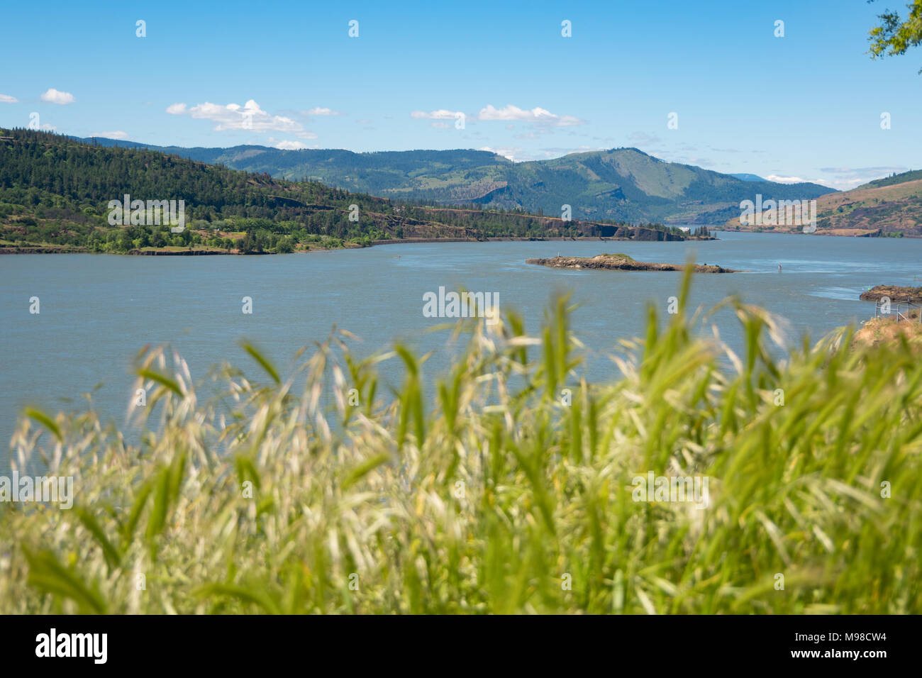 Columbia River von einem grasbewachsenen Hügel gesehen. Stockfoto