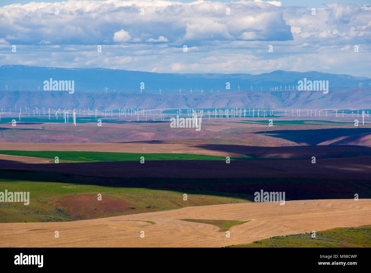 Eine Windfarm im nördlichen zentralen Oregon. Stockfoto