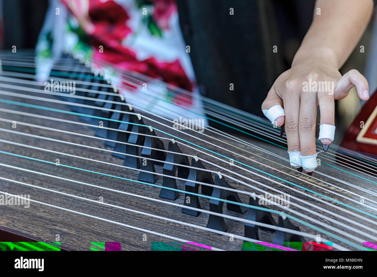 Frau spielen eine Guzheng, traditionelle Chinesische Musikinstrument am Calgary Chinatown Festival Stockfoto