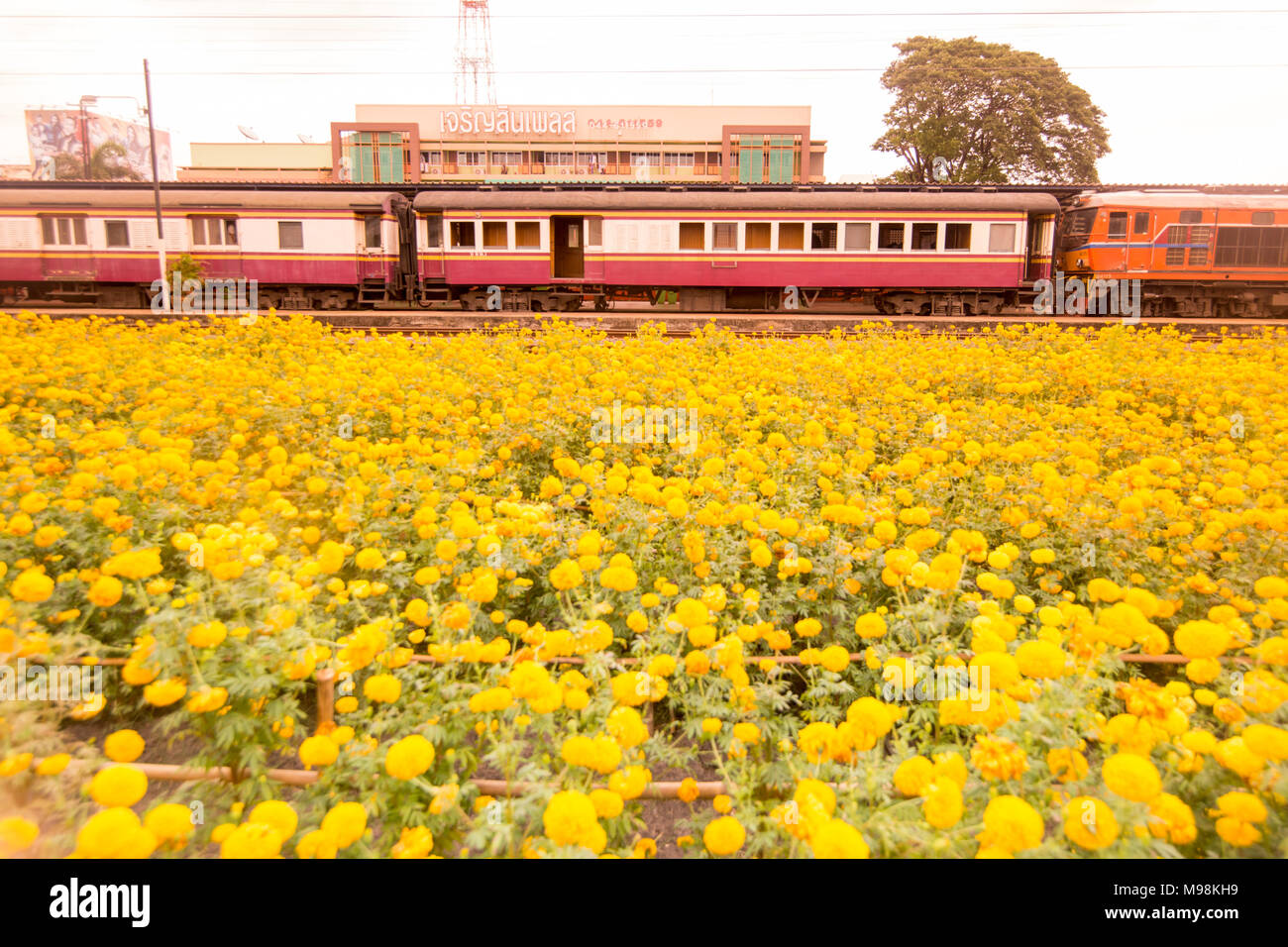 Der Bahnhof in der Stadt Buriram in der Provinz Buri Ram im Isaan im