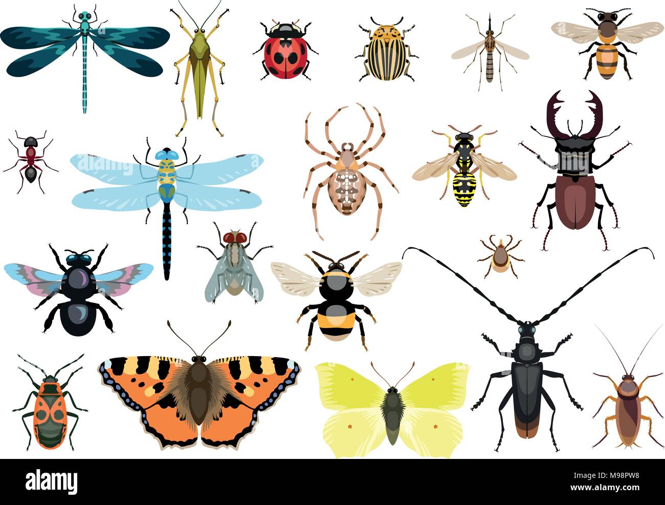 Insektensammlung, Illustration, Zeichnung, Vektor Stock Vektor