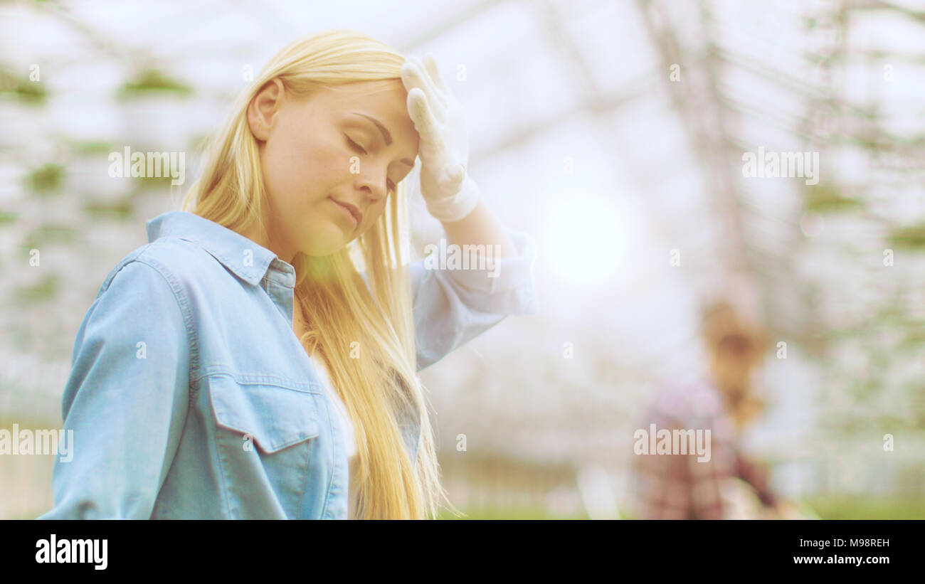 Weibliche Gärtner wischt sich den Schweiß von der Stirn, die während der Arbeit mit Pflanzen in einem sonnigen Industrielle Gewächshaus. Sie ist Wenig müde und erschöpft Stockfoto