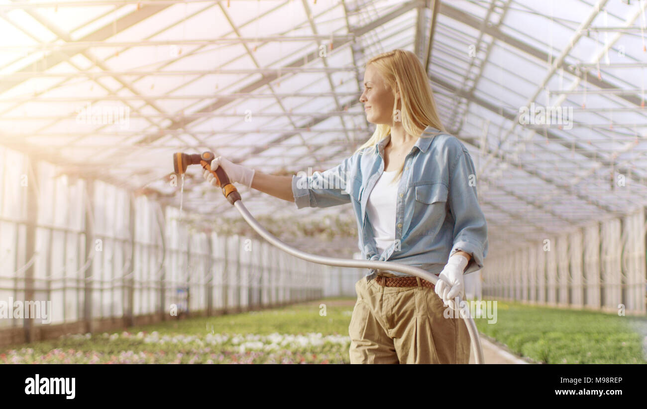 Gerne weibliche Gärtner Wasser Pflanzen und Blumen mit einem Gartenschlauch im sonnigen Industrielle Gewächshaus. Stockfoto