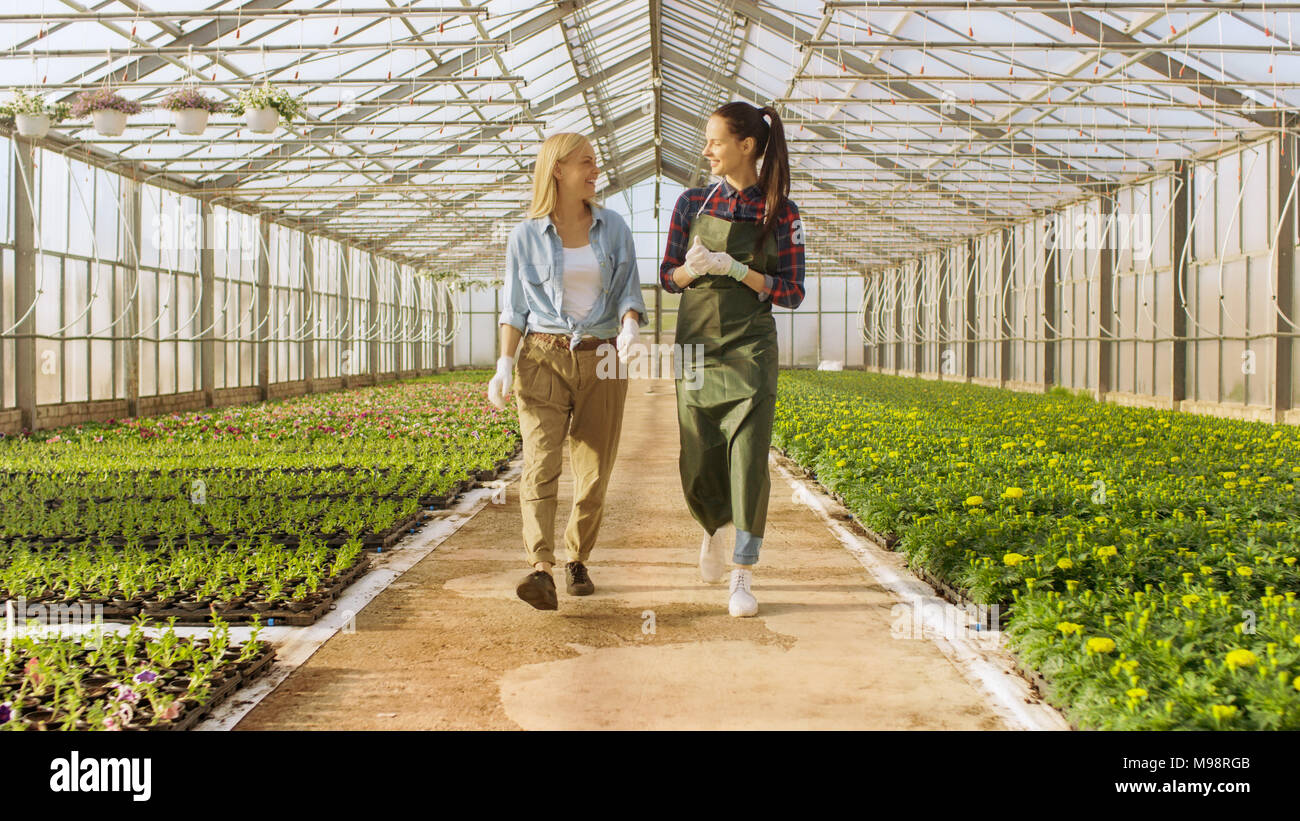 Zwei glückliche Industrielle Treibhausgase Arbeitnehmer Spaziergang durch Reihen von bunten Blumen und Grünes Gemüse. Sie lächeln und sind glücklich, mit Bio-lebensmitteln. Stockfoto