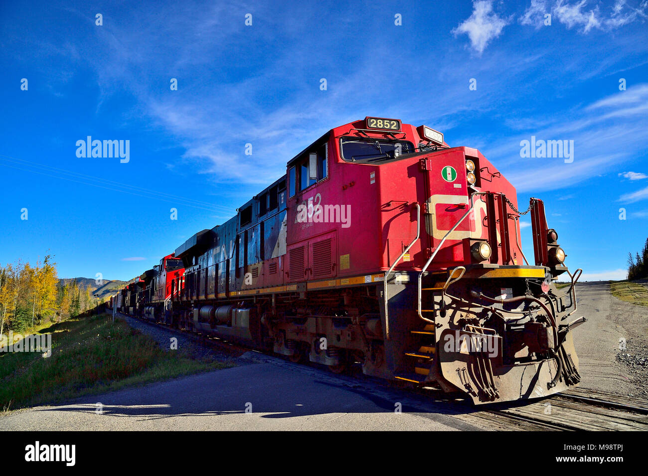 Eine kanadische National Freight Train Überquerung der zweispurigen Straße in der Nähe von Brule Alberta, Kanada. Stockfoto