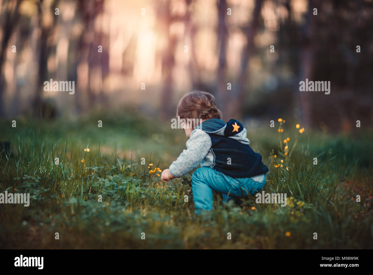 Süße kleine baby boy Sammeln von wild wachsenden Blumen auf dem frischen floralen Feld in den Wald, warmen Frühlingstag in der Landschaft, genießen Sie Schönheit und Stockfoto