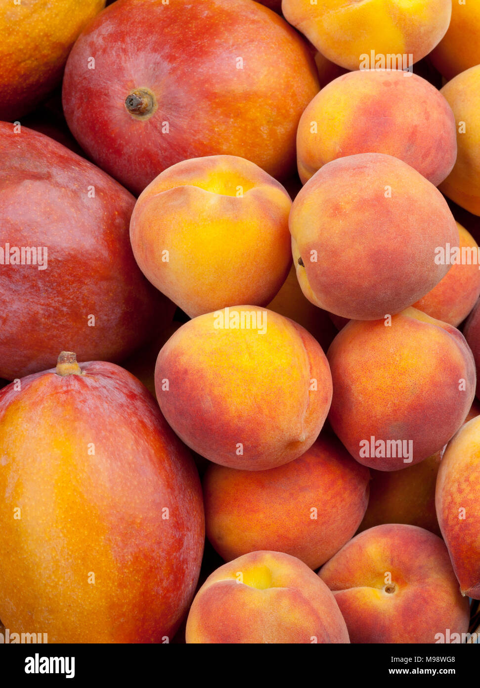 Gruppe von frischen Pfirsichen oder Mangos Hintergrund der Ansicht von Oben Stockfoto