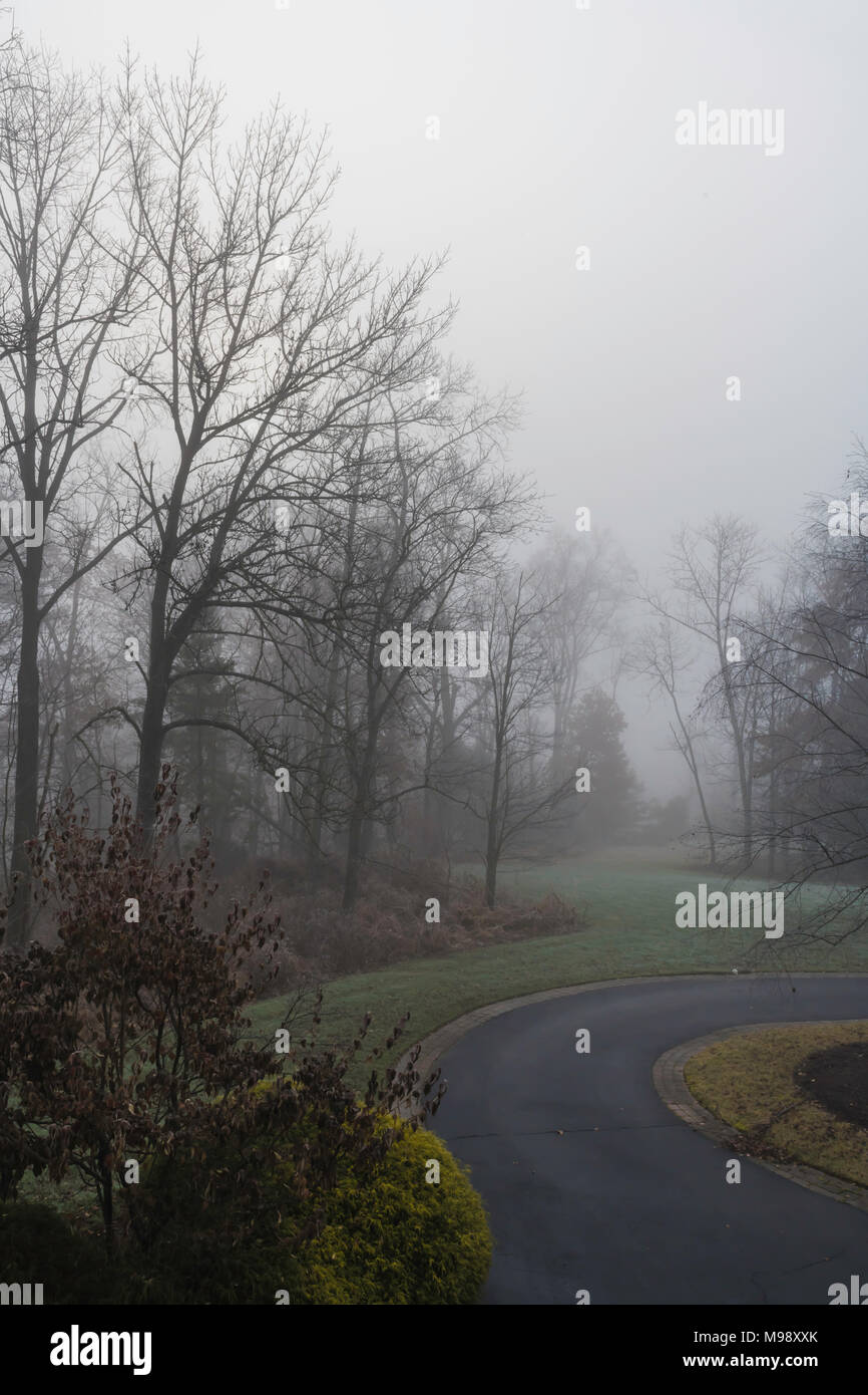 Der frühe Winter Morgennebel mit Wäldern, grünen Gras und eine geschwungene Auffahrt Stockfoto