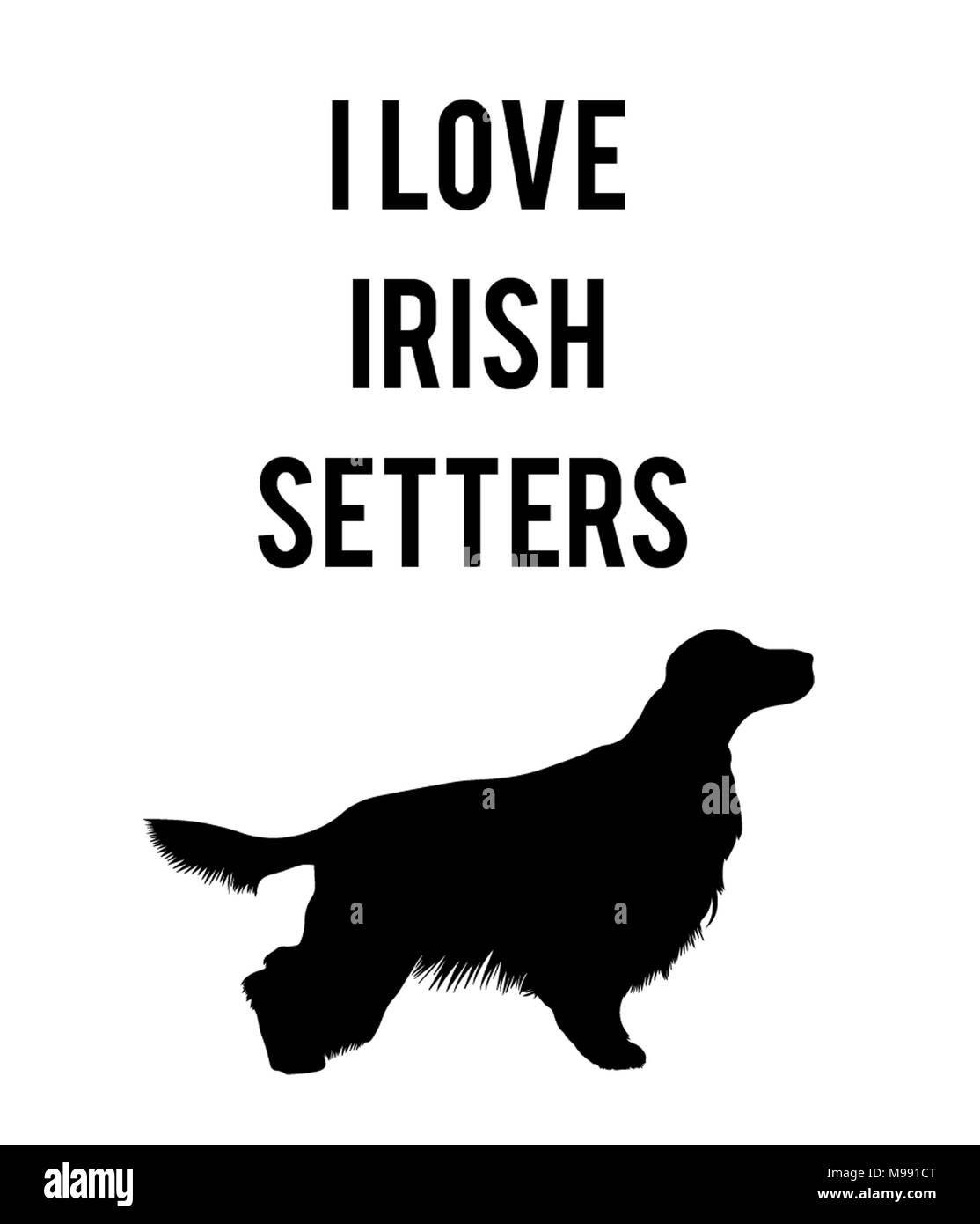 Ich liebe Irish Setter Stockfoto
