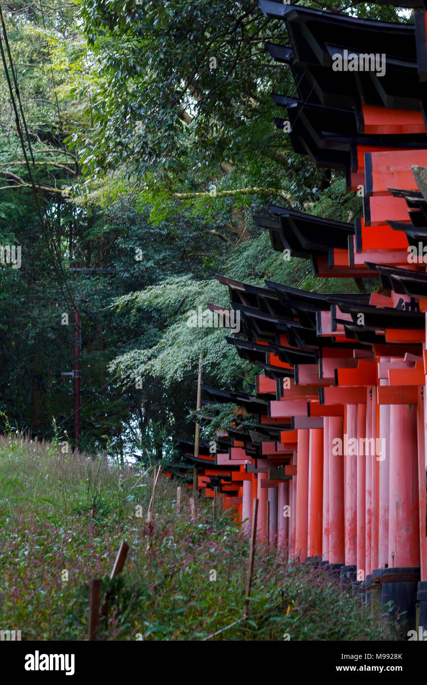 Rote torii Korridor in Fushimi Inari taisha, Kyoto Stockfoto