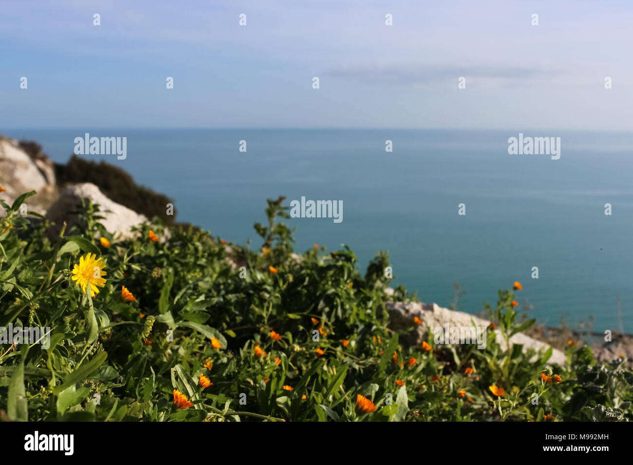 Schöne Aussicht auf die Adria mit bunten Blumen im Vordergrund Stockfoto