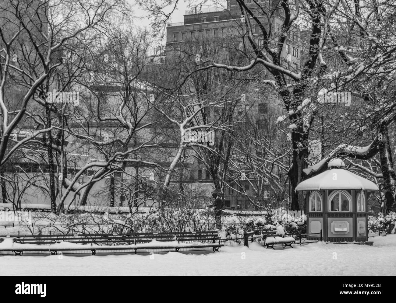 Winterlandschaft, Verschneite Bäume, Central Park, Manhattan, New York Stockfoto