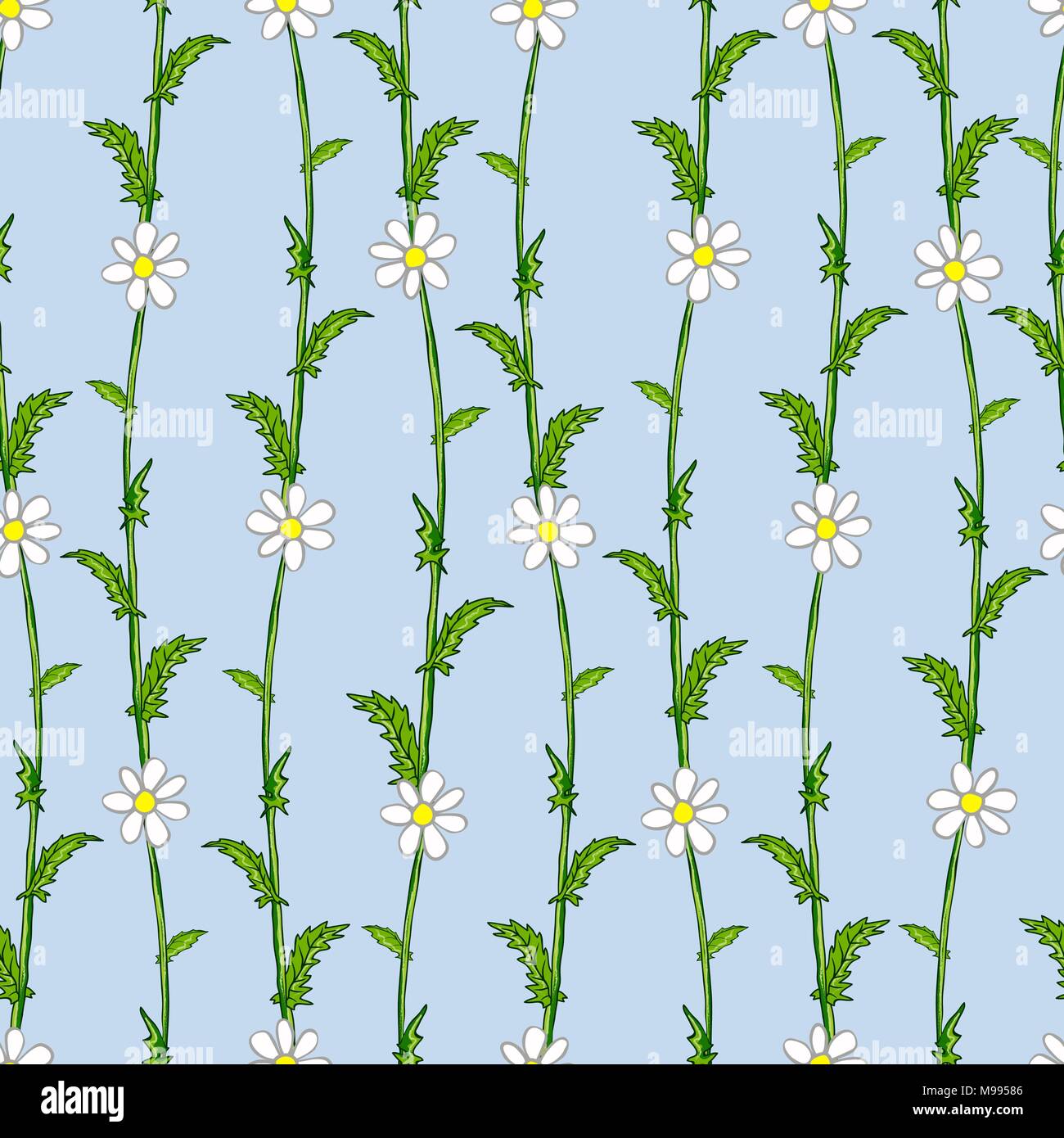Nahtlose Muster der weißen Gänseblümchen auf grünen Stengel im Stil der Provence Stock Vektor