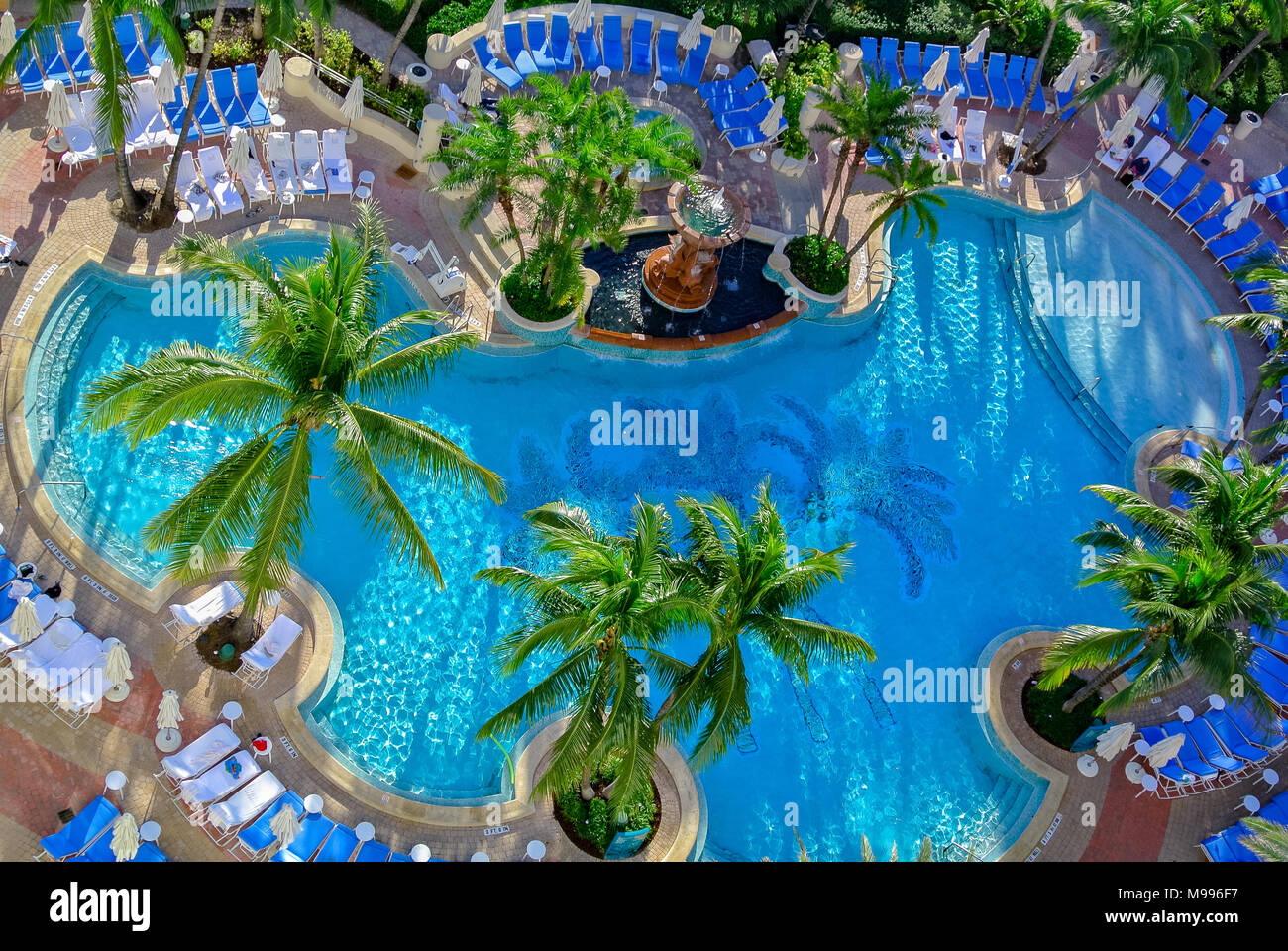 Schwimmbad im Loews Miami Beach Hotel, Miami, USA, Vereinigte Staaten von Amerika Stockfoto