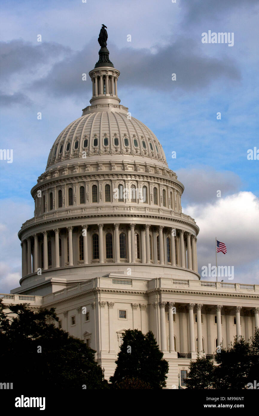 Der United States Capitol in Washington, D.C. Stockfoto