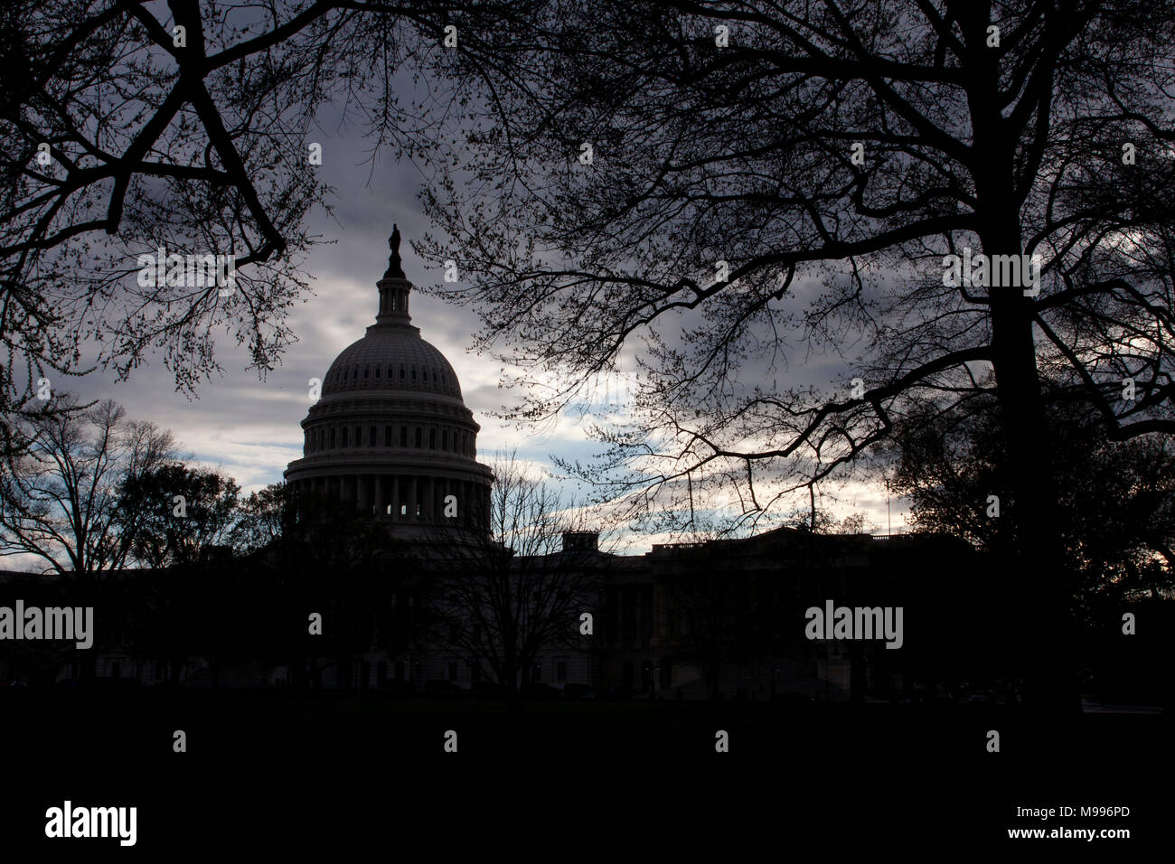 Der United States Capitol in Washington, D.C. Stockfoto