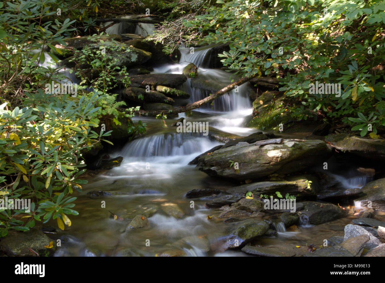 Einen schönen malerischen Stream mit Miniatur verschütten Wasserfällen entlang der Catawba fällt Wanderweg in Old Fort, North Carolina Stockfoto