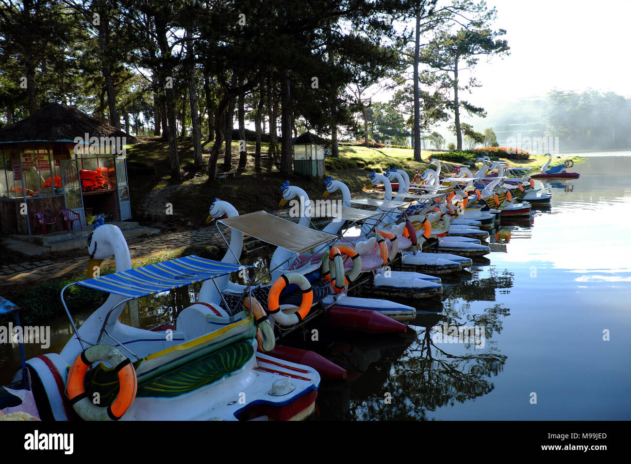 Gruppe von Ente Boot, Fahrzeug- und auf dem Wasser für Tourismus entspannen, reflektieren über Wasser, Ziel für Reisen Da Lat, Vietnam, See in einem Pinienwald Stockfoto