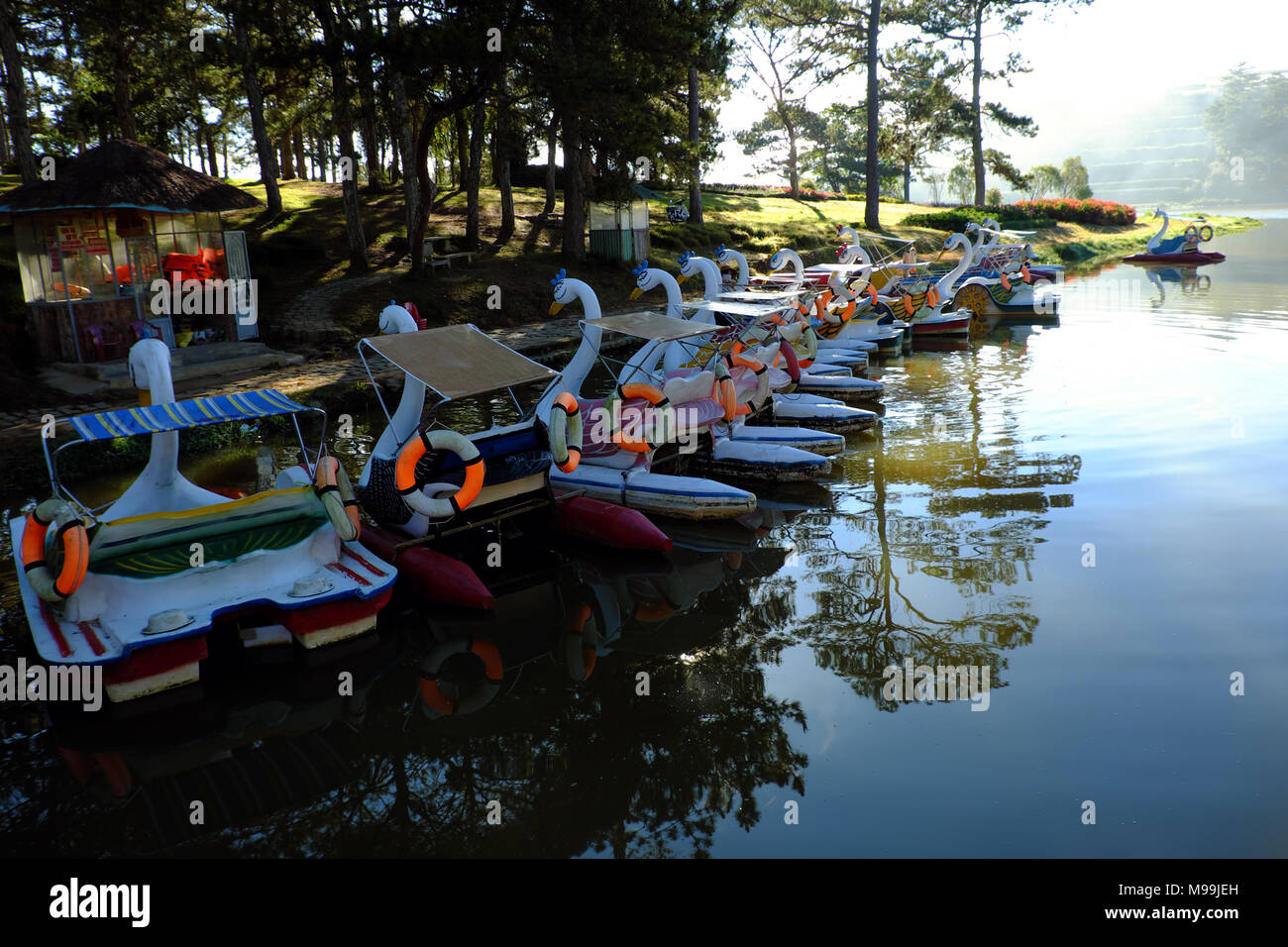 Gruppe von Ente Boot, Fahrzeug- und auf dem Wasser für Tourismus entspannen, reflektieren über Wasser, Ziel für Reisen Da Lat, Vietnam, See in einem Pinienwald Stockfoto