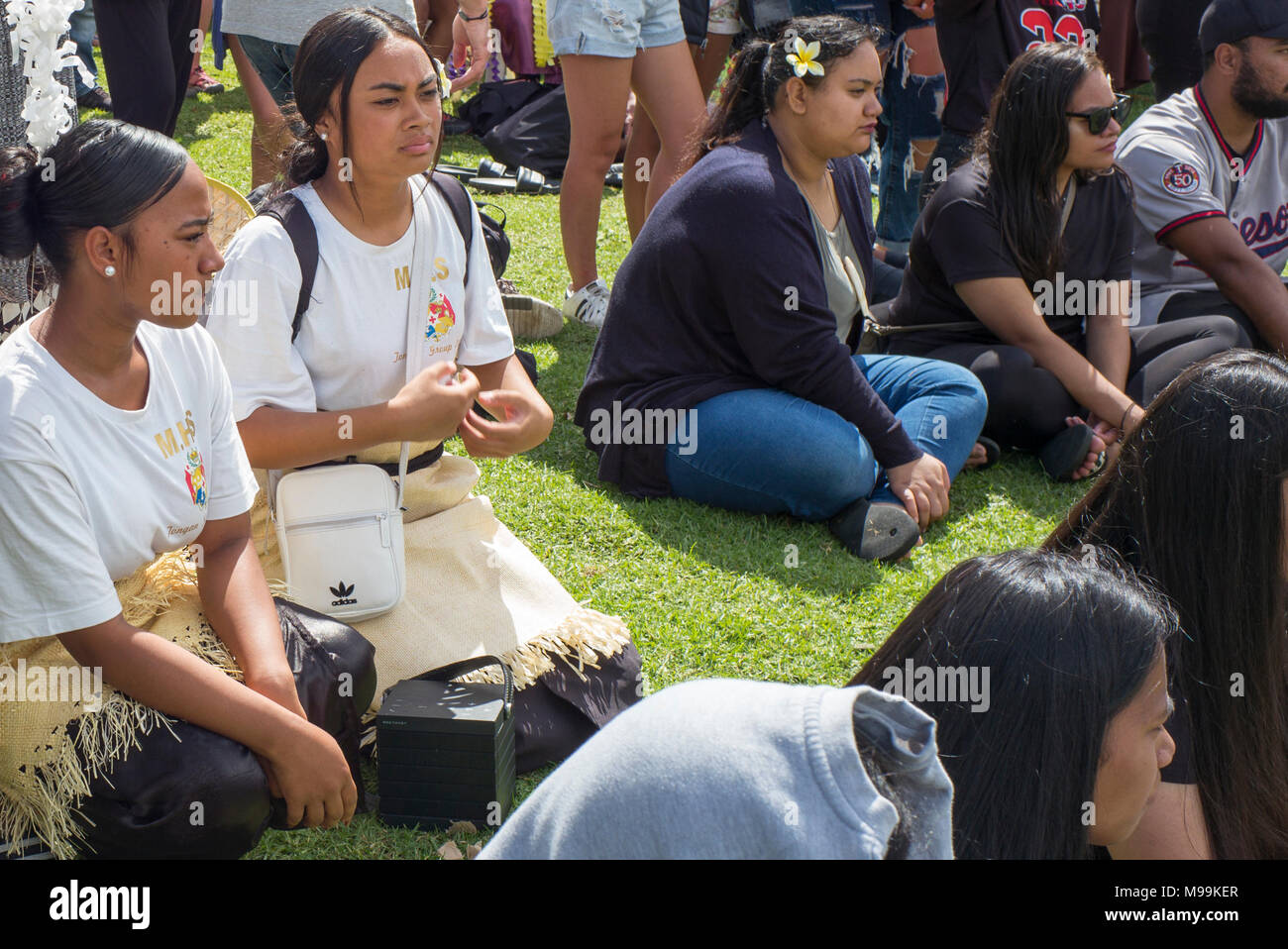 Die Zuschauer sitzen und stehen, wie sie Tanz Uhr bei Pasifica, Pacific Island Festival, Auckland. Stockfoto