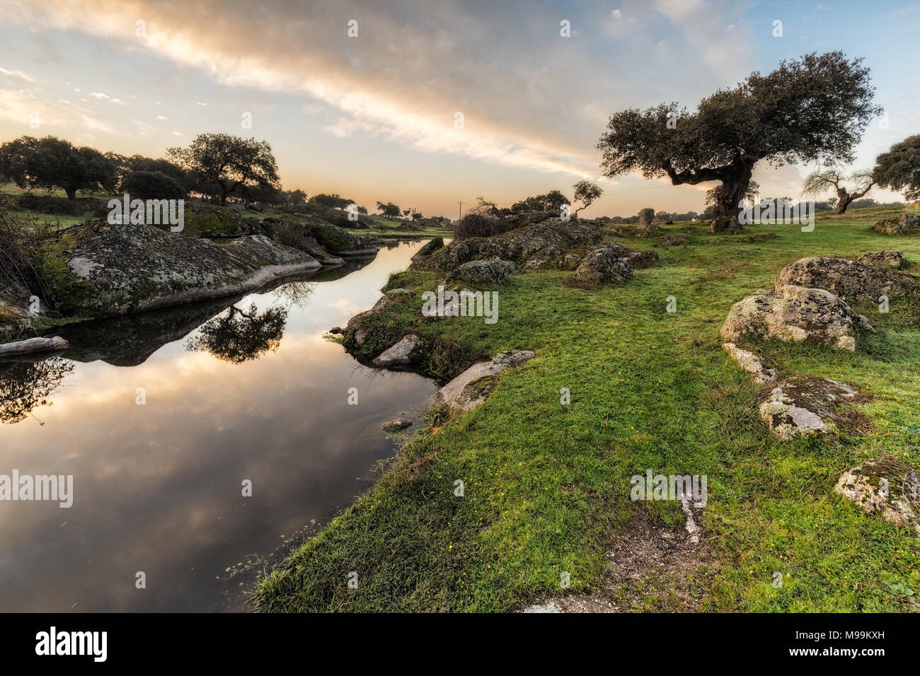 Dämmerung in der Dehesa de Arroyo de la Luz. Der Extremadura. Spanien. Stockfoto