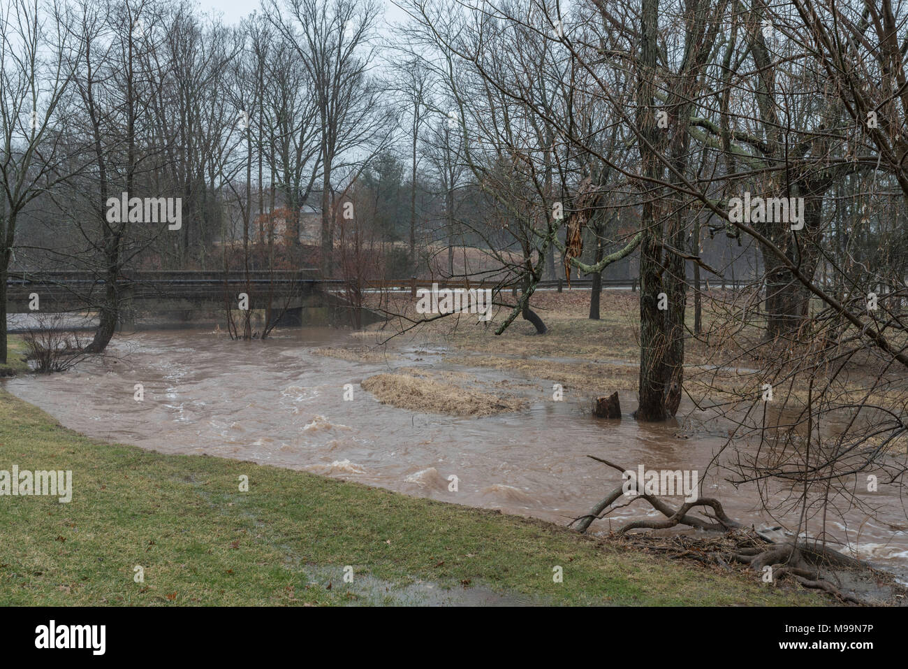 Geschwollene schlammigen Bach durch den Wald über seine Ufer, während es regnet Stockfoto