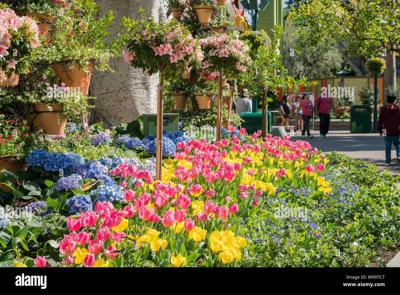 Los Angeles, FEB 18: schöne Läden in Downtown Disney District am 18.Februar, 2018 in Los Angeles Stockfoto
