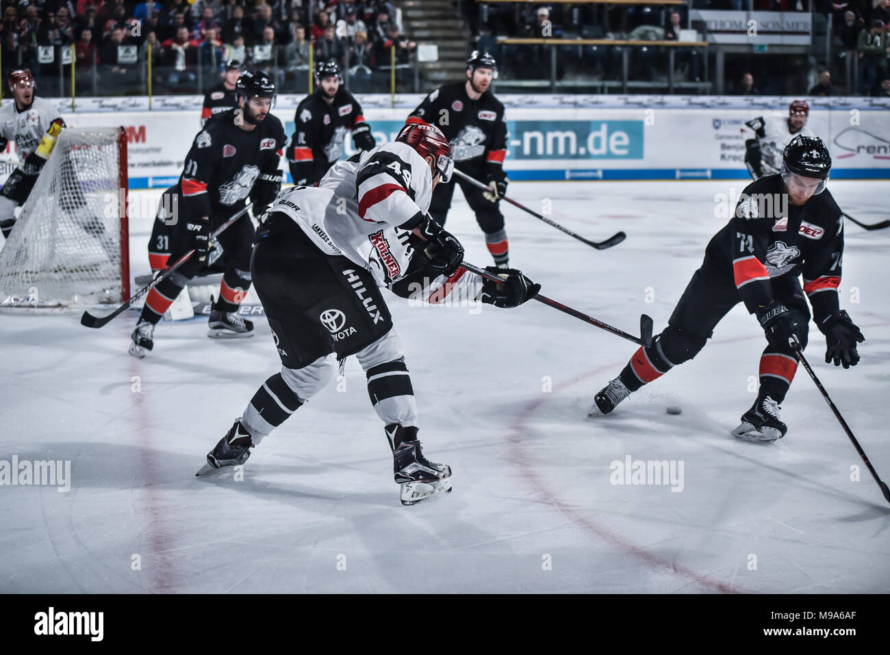 Deutschland, NŸrnberg, Arena NŸrnberger Versicherung, 23.03.2018, Eishockey - DEL Playoffs Viertelfinale, Spiel 5 - Thomas Sabo Ice Tigers vs. Kšlner Haie - Bild: Alexandre Bolduc (Kšlner Haie, Nr. 49) versucht, eine zurück, um eine zählende Wahrscheinlichkeit zu setzen. Foto: HMB Medien/Ryan Credit: Ryan Evans/Alamy leben Nachrichten Stockfoto