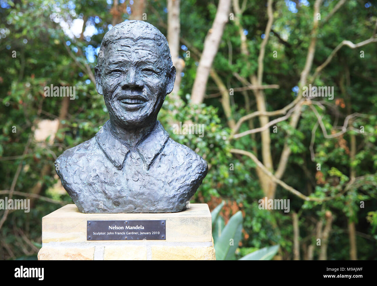 Büste von Nelson Mandela im Botanischen Garten Kirstenbosch, Kapstadt, Südafrika Stockfoto