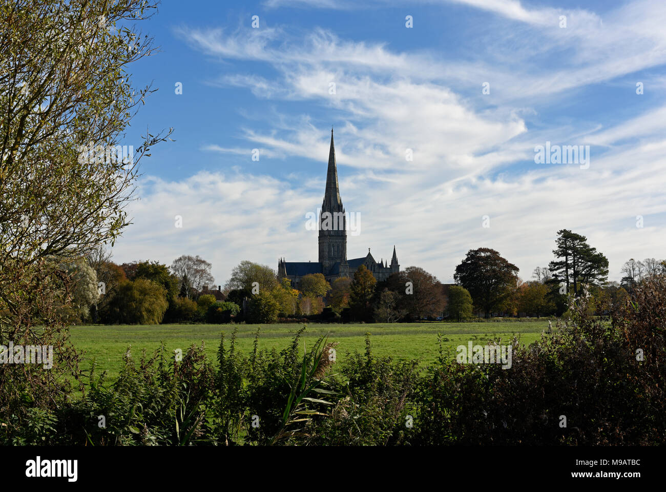 Die Kathedrale von Salisbury in herbstlichen Nachmittag Licht von der Wiese Stockfoto