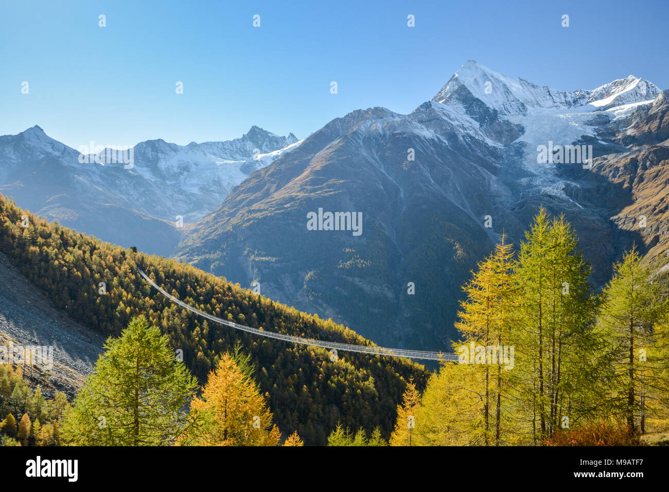 Charles Kuonen Hängebrücke in den Schweizer Alpen. Mit 494 Metern ist es das längste Hängebrücke der Welt Stockfoto