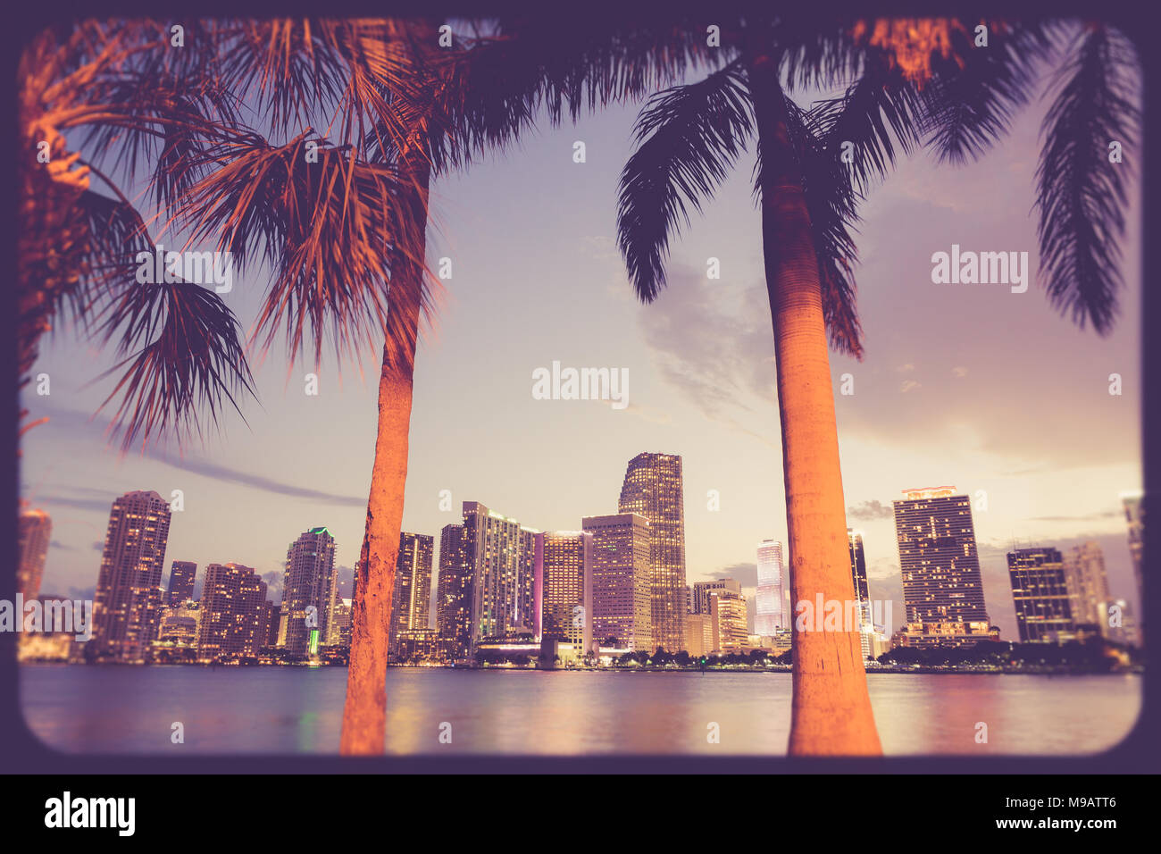Miami Florida Skyline bei Sonnenuntergang mit Palmen Stockfoto