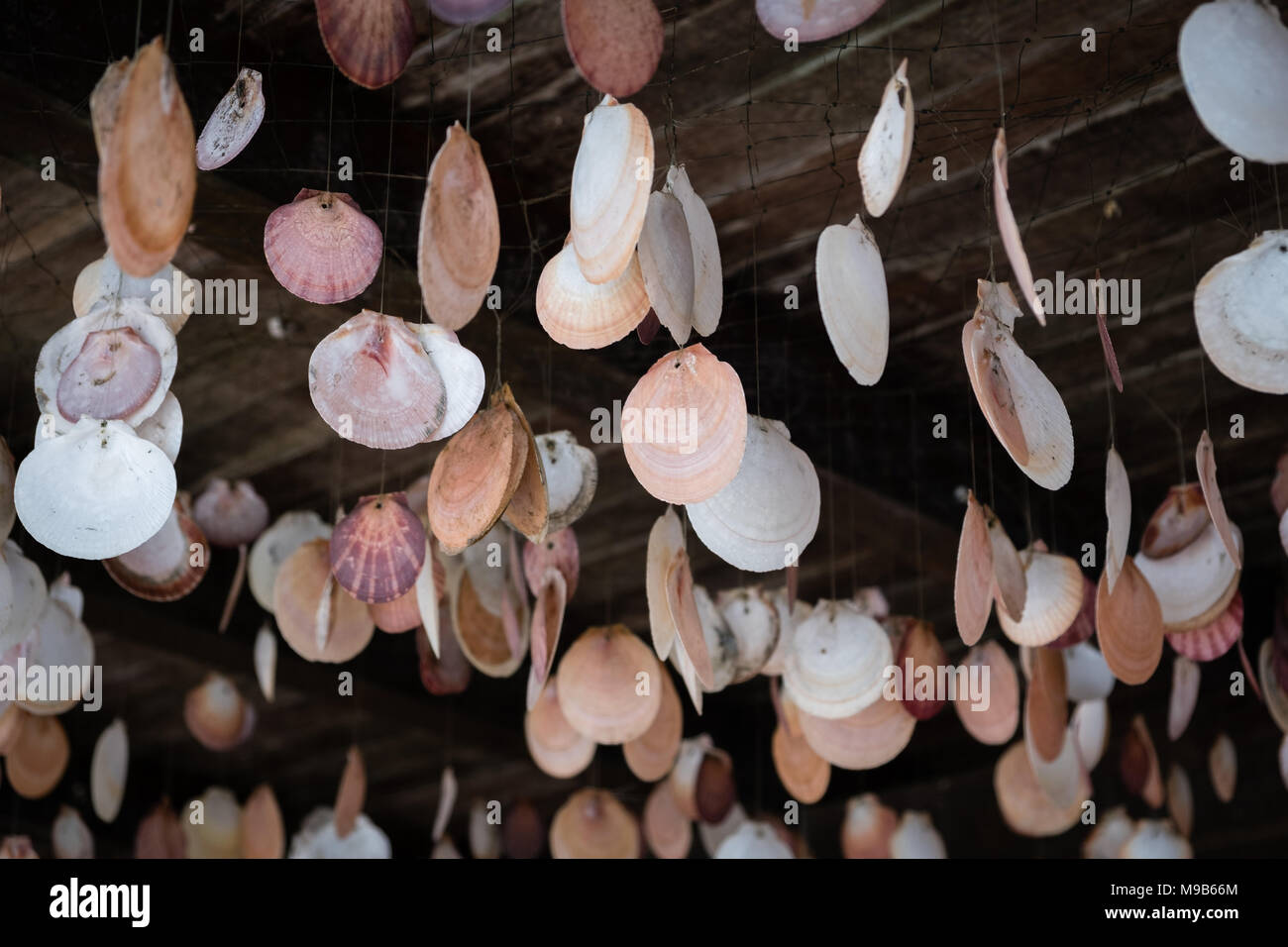 Seashell Dekoration - shell Pattern hängen an der Decke-Travel Concept - Stockfoto
