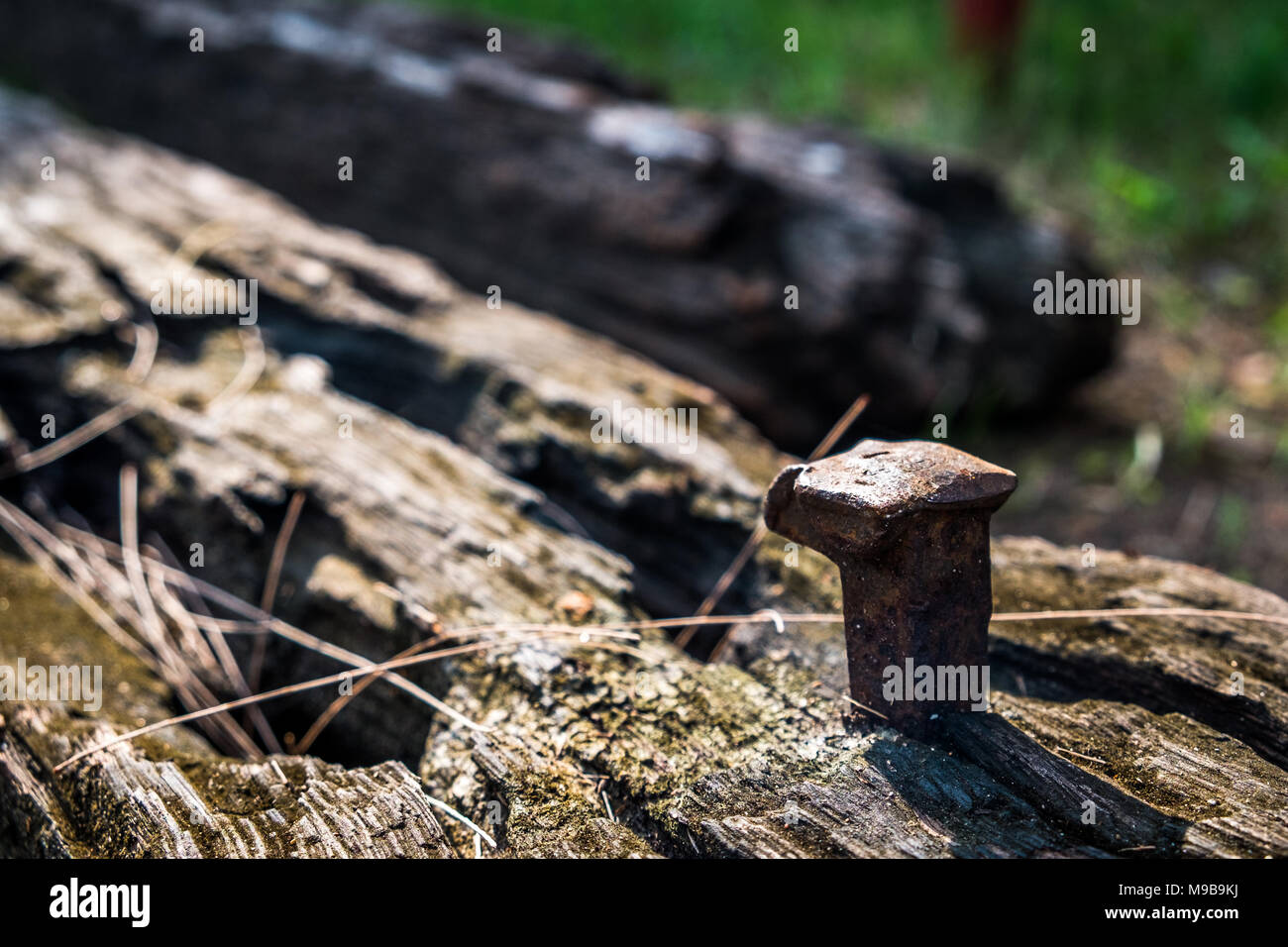 Die alte Eisenbahn Riegel mit alten Nagel in Morgensonne Stockfoto