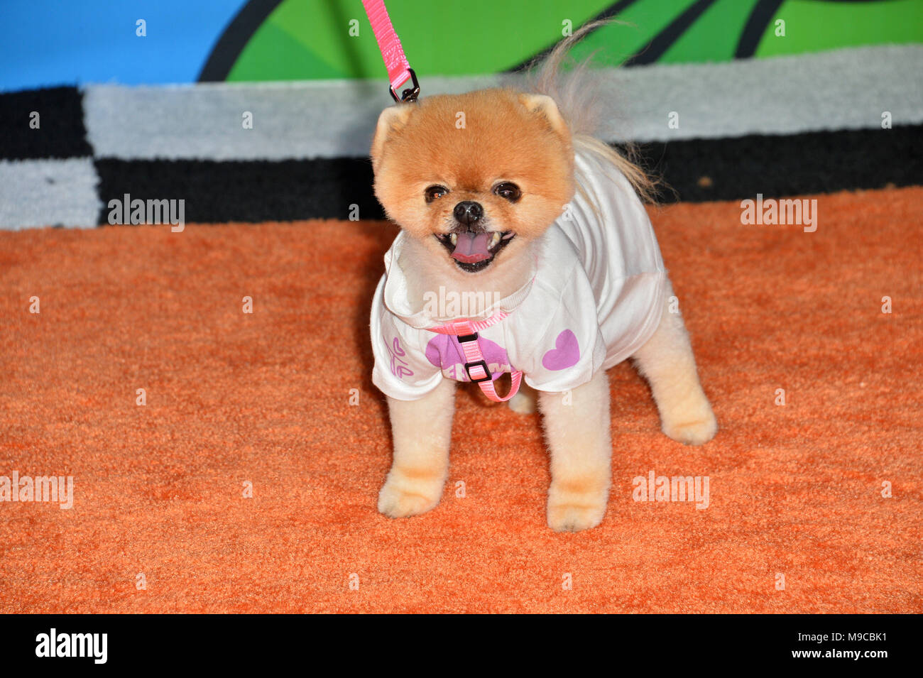 LOS ANGELES, Ca. März 24, 2018: 2018 JiffPom am Nickelodeon Kids' Choice Awards im Forum Bild: Sarah Stewart Credit: Sarah Stewart/Alamy leben Nachrichten Stockfoto