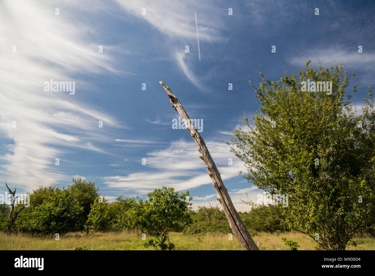 Blick auf die Landschaft an Latimer Münster, eine Kirche in der Nähe von Gerrards Cross und Chalfont St Peter, Buckinghamshire, Großbritannien Stockfoto