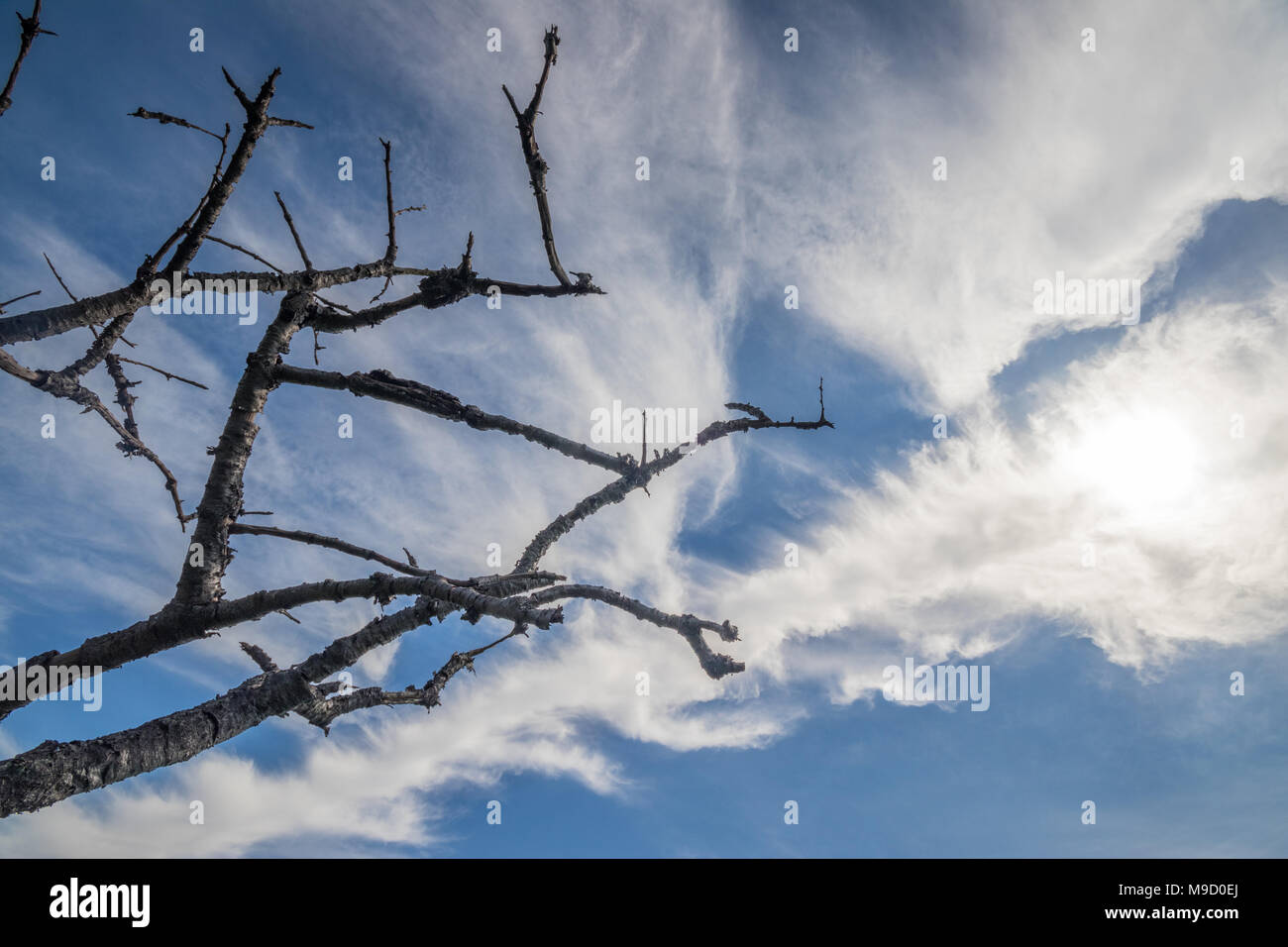 Blick auf die Landschaft an Latimer Münster, eine Kirche in der Nähe von Gerrards Cross und Chalfont St Peter, Buckinghamshire, Großbritannien Stockfoto