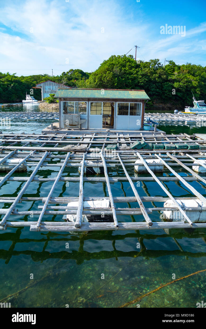 Pearl Anbau, vor Bay, Shima Stadt, Präfektur Mie, Japan Stockfoto