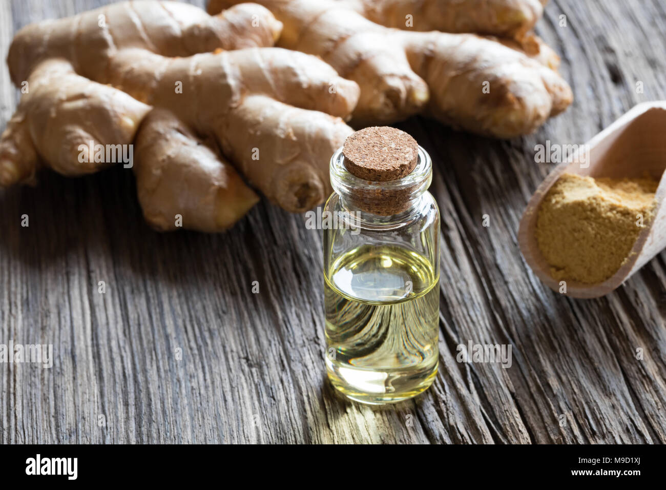 Eine Flasche Ingwer ätherisches Öl mit Ingwer und gemahlener Ingwer Stockfoto