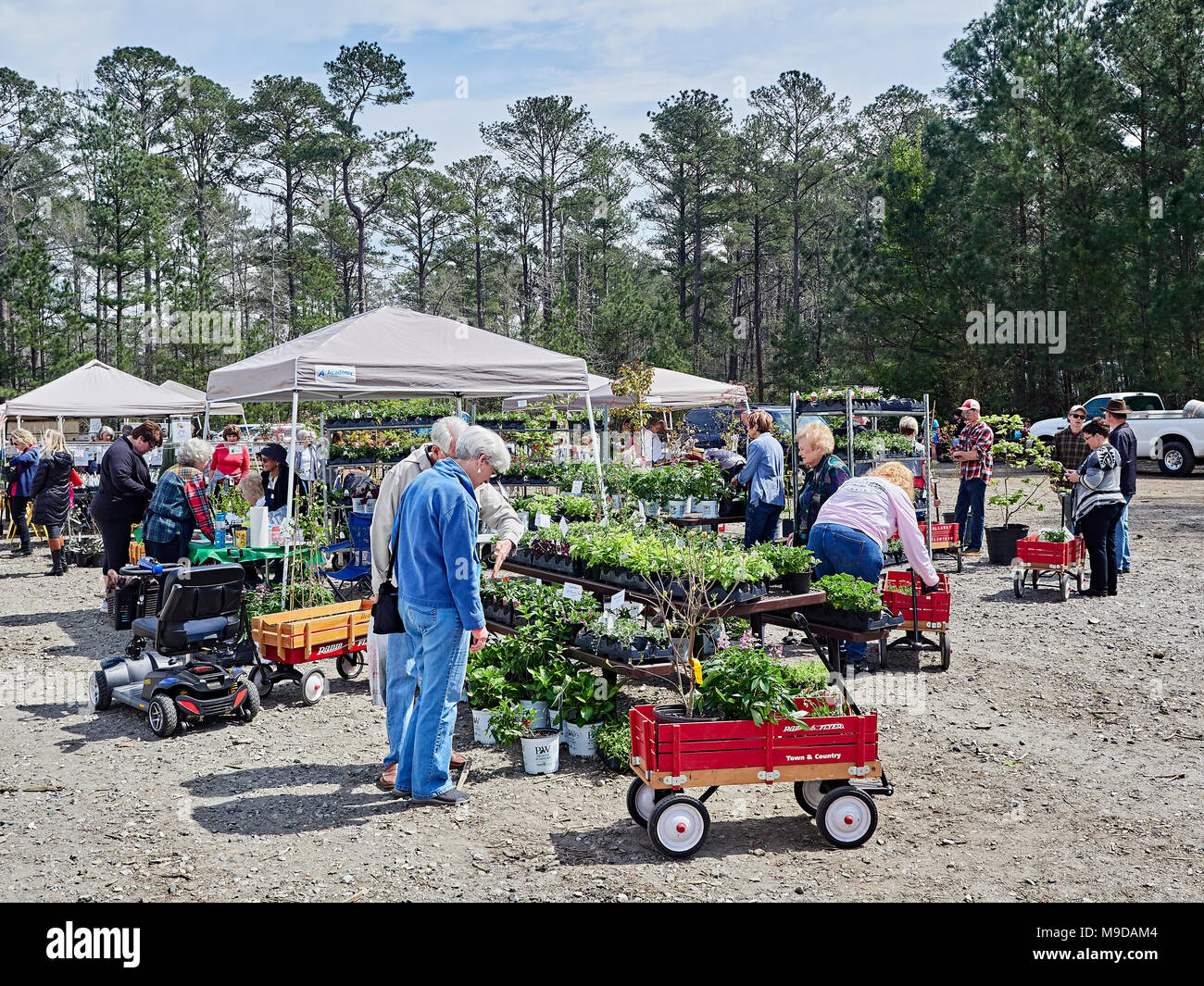 Ältere ältere, reife Paar Einkaufen für Garten Pflanzen im Frühjahr plant Verkauf in Callaway Gardens, Pine Mountain Georgia, USA. Stockfoto