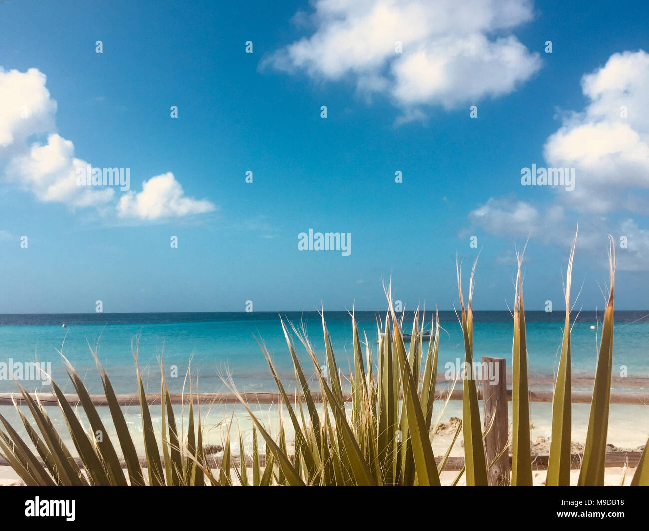 Strand, sauber, blauer Himmel und Palmenblättern - Sommer Urlaub Konzept - Stockfoto