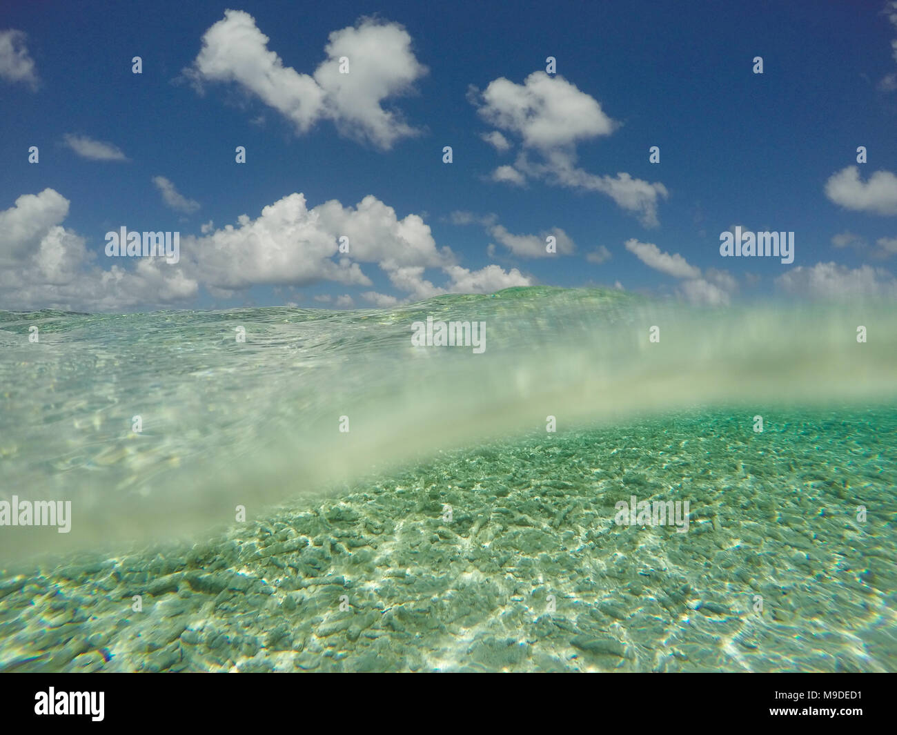 Unterwasser- und blauer Himmel - Tauchen, Schnorcheln Konzept - über und unter Wasser des Ozeans Fläche getrennt Stockfoto