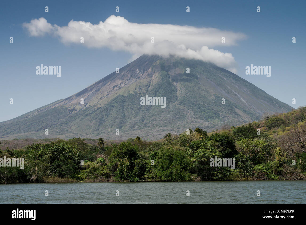 Vulkan Concepcion sichtbar von Charco Verde Naturschutzgebiet auf der Insel Ometepe, Nicaragua, Mittelamerika Stockfoto