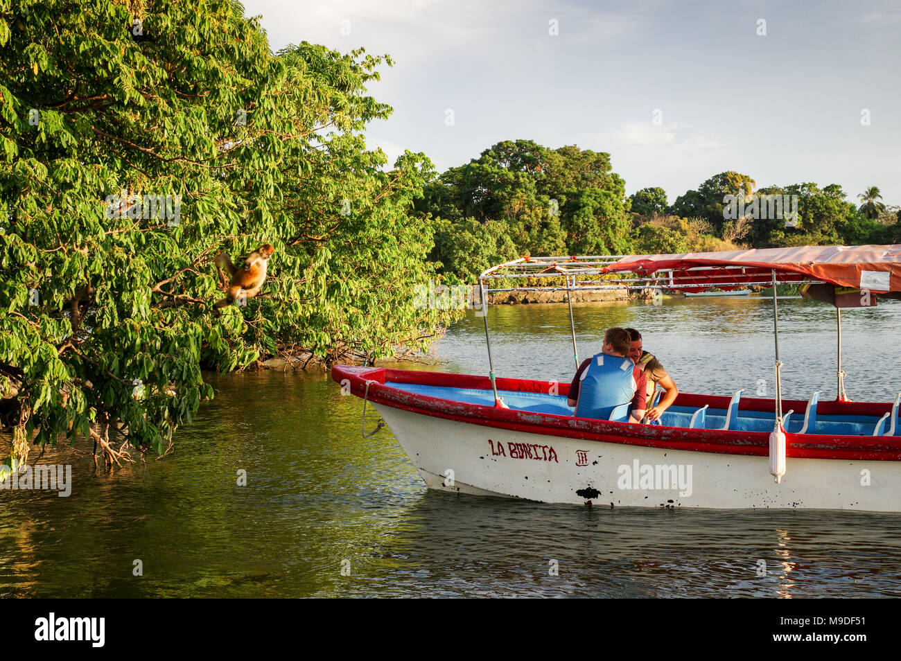 Bootstouren stoppen Klammeraffen auf die Inseln von Granada in Nicaragua zu beobachten Stockfoto