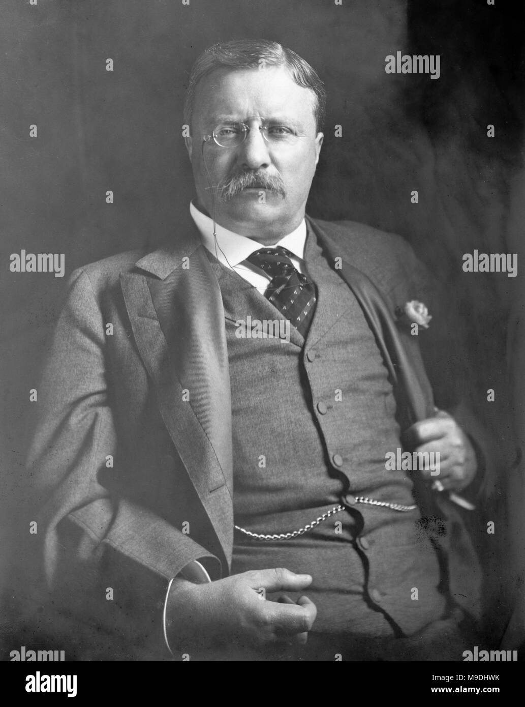 Theodore Roosevelt, Theodore Roosevelt Jr. (1858 - 1919) amerikanischer Staatsmann und Schriftsteller und 26. Präsident der Vereinigten Staaten von 1901 bis 1909 Stockfoto