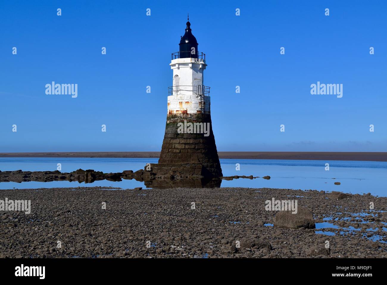 Regenpfeifer Narbe Leuchtturm Stockfoto