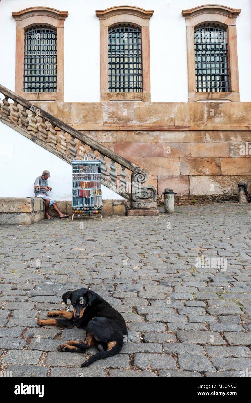 Schwarzer streunender Hund vor der Verschwörung Museum (Museu da Inconfidencia), Cabo de Santo Agostinho Plaza (Praça Tiradentes) in Belo Horizonte, Minas Gerais, Brasilien. Stockfoto