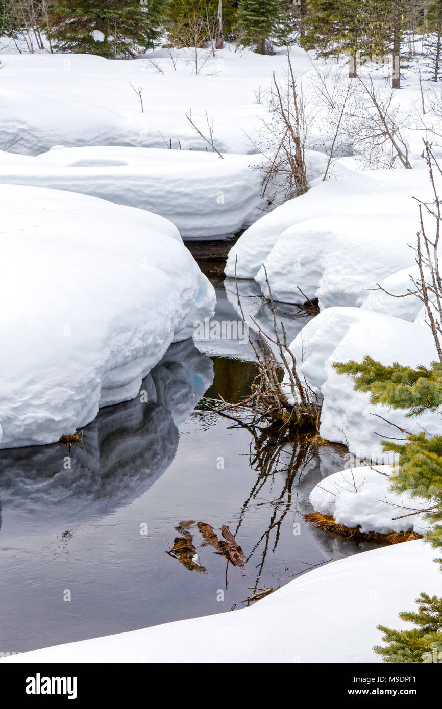 42,780.01166 fließenden Bach im kalten Winter, die durch eine tiefe Decke aus weichem, weißen Wald Schnee Stockfoto
